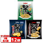 カルビー　堅あげポテト65g　3種各4袋セット（計12袋）　うすしお味／ブラックペッパー／焼きのり味　レギュラーサイズ【送料無料(沖縄・離島除く)】