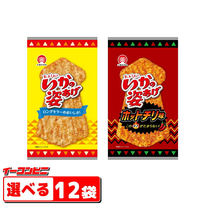 合食　大塩するめ　いかの姿あげ（5枚入）選べる12袋　（プレーン・ホットチリ）　イカフライ【送料無料(沖縄・離島除く)】