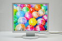 中古液晶モニター/19型液晶ディスプレイNEC/AS193Mi【中古】