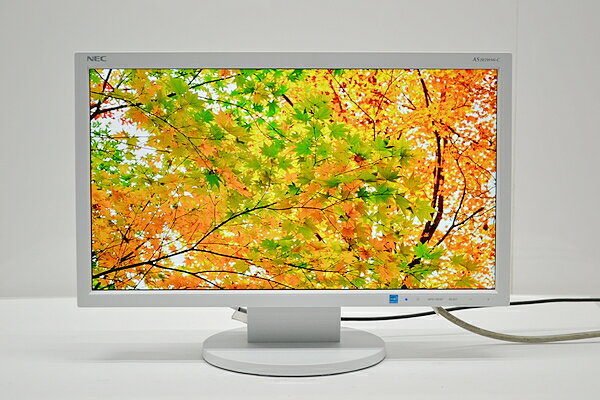 中古液晶モニター/19.5型液晶ディスプレイLCD-AS203WMi-C【中古】