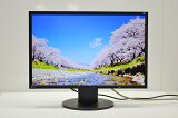 EIZO 22 űվ˥ѻ֡17825H FlexScan EV2216W LEDХå饤ȡšDisplay-PortDVI-DD-Sub15