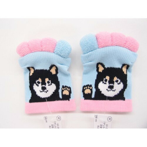 ★ルームソックス　オアシスクロヤナギ 足指ソックス　GS-256-220★レディース　フリーサイズ★【ルームシ..