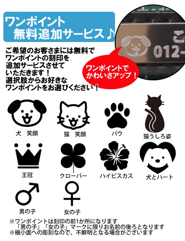 動画あり　お名前＆電話番号刻印付きツートーンレザーカラー5色！ （犬用首輪）XS〜Mサイズ　刻印無料サービス【メール便送料無料/代引不可】《犬　犬用品　首輪　犬　名前入　首輪　レザー》