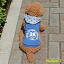 スターフードスポーツパーカー/ブルー(※DMのみ)【ルイスペット】 【メール便送料無料】【犬 服 犬 ...