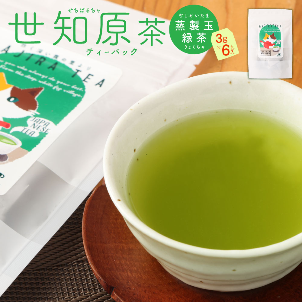長崎県産世知原茶ティーバッグ （蒸製玉緑茶 3g×6包入） 