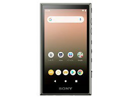 ★ソニー / SONY NW-A105 (G) [16GB アッシュグリーン] 【デジタルオーディオプレーヤー(DAP)】【送料無料】