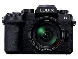 ★Panasonic / パナソニック LUMIX DC-G99DH 標準ズームレンズキット 【デジタル一眼カメラ】【送料無料】