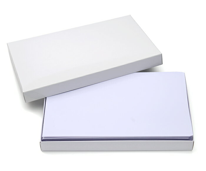 抗菌仕様 紙製マスクケース マスク用封筒 白無地 フタ無し 100枚入 箱入り (使い捨て/一時保管用/仮置き用/携帯用/配布用)