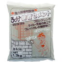 仕様色・柄：グレー容量：1.5kg用途・使用場所：門柱金具やフェンスの取り付け、またブロック、レンガのジョイント部分の接着にお使い下さい。●練り作業終了時より直ちに硬化を始め、約3分後には完全硬化し接着や充填時にその効果を発揮します。検索ワード：補修 モルタル ブロック 灰 レンガ タイル 簡単 ワレ