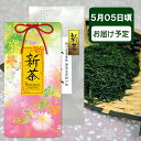 静岡 新茶 お中元 2025 八十八夜 本山茶 100g 平袋 新茶 たとう入り ギフト パック 茶葉 徳川家康 お茶 日本茶 国産 お茶の葉 国産茶葉 煎茶 ...