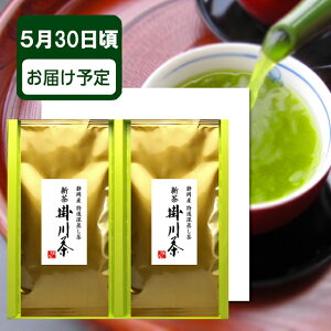 2022年度 新茶 父の日 静岡深蒸し茶 特選 掛川茶100g2本ギフトセット