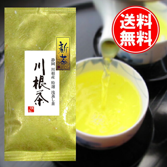 2023年度産 新茶 父の日 川根産 高級茶 川根茶50gお試しパック