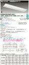 【法人様限定】東芝 LEKRS430204D-LS9 TENQOO 下面開放器具併用形非常灯 40形 埋込 W300 昼光色