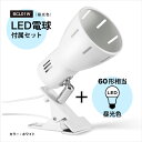 BRIDGES ブリッジズ クリップライト 【LED電球60型相当(昼光色)セット】 白 ホワイト E26 シンプル ナチュラル モダン インテリア 60Wまで 簡単取付 看板 スポットライト 間接照明 コンセント式 おしゃれ 寝室 インテリア照明 BCL01W