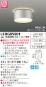 【法人様限定】東芝 LEDアウトドアシーリングライト (ランプ別売) LEDG85901