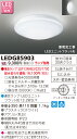【法人様限定】東芝 LEDアウトドアシーリングライト (ランプ別売) LEDG85903