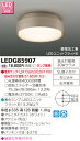 【法人様限定】東芝 LEDアウトドアシーリングライト (ランプ別売) LEDG85907