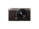 デジタルカメラ パナソニック LUMIX S9 ルミックス 小型 軽量 コンパクトボディ 付属レンズS-R1840付 リアルタイムLUT 新色 N デジタル一眼...