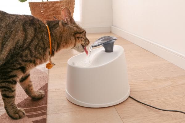 ペット用自動給水機 ホワイト/クリア ワンちゃん用 ネコちゃん用 犬用 猫用 アイリスオーヤマ IRIS OHYAMA PWF-200