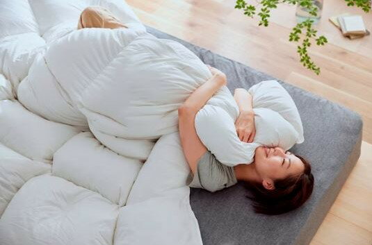 掛け布団寝具IRISOHYAMAア...