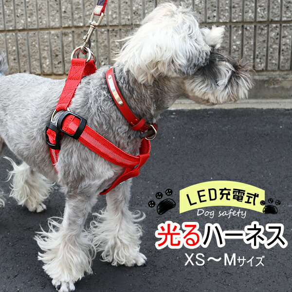 光るハーネス 犬 ハーネス 小型犬 中型犬 可愛い ペット用品