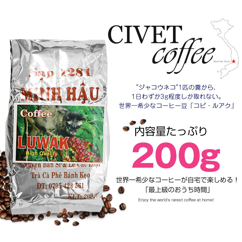 【楽天スーパーSALE 特別価格&カフェフィン2個プレゼント】ジャコウネココーヒー コピ・ルアク ブレンドコーヒー アラビカ種 コーヒー 豆 珈琲 希少 ベトナム産 中煎り レギュラーコーヒー 焙煎 ロースト 送料無料【coffee-6】 e-do-10011904 e-do net(エードネット事業部) サンプル画像2