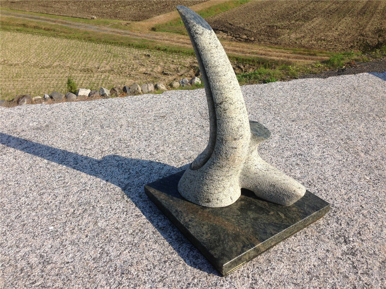 ����̾��ź���������������θ���Ф����Ħ��⤵��53��5cm�Ť�27kg