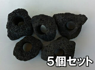 【5個セット＋1】黒い溶岩石　（穴