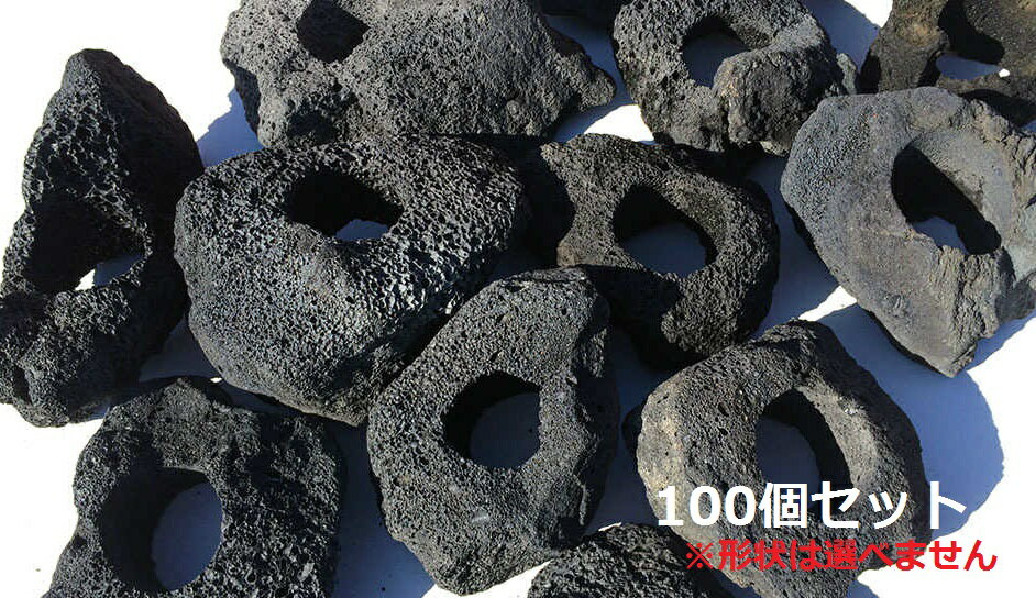 100個セット！【1個＝650円！】黒い溶岩石サイズ長辺約15〜20センチ（6cm穴あき）溶岩でできたフラワーポット(溶岩鉢)水槽（アクアリウム）のレイアウトに♪【もう1個サービス中！】【送料無料】※形状お任せになります。