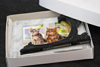 ��̴�Х��ꥸ�ʥ�ۡ���100���åȡۥ����ꥢ�������Хӥ��󥳥����Υե��ȥե졼�������ƥꥢ�˥�������Ǥ�������ʸ����Ǽ���γ�ǧ�򤪴ꤤ���ޤ���