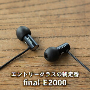 高音質 カナル型 イヤホン final ファイナル E2000 【FI-E2DAL】 有線 イヤフォン ギフト プレゼント 【2年保証】通販