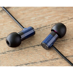 高音質 カナル型 イヤホン final ファイナル E1000 BLUE 【FI-E1DPALBU】 有線 イヤフォン プレゼントに 【1年保証】通販