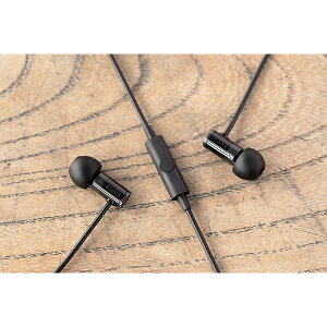 高音質 カナル型 イヤホン final ファイナル E1000C BLACK 【FI-E1DPALBLC】マイク付き リモコン付き 有線 イヤフォン ギフト 【1年保証】格安セール