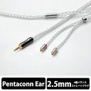 【お取り寄せ/納期：約1～2ヶ月】ORB オーブ Celestial force C8 Pentaconn ear Short 2.5φ（1.2m）【送料無料】【6ヶ月保証】