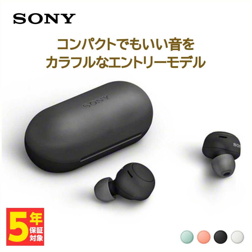 SONY ソニー WF-C500 B ブラック ワイヤレス イヤホン Bluetooth マイク付き 防滴 IPX4 低遅延 コンパクト 小型 エントリーモデル 