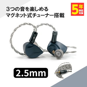 BQEYZ Autumn ベンゾブルー (2.5mmプラグ) 有線 イヤホン リケーブル対応 2Pin通販セール