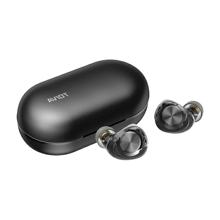 (8月8日発売予定) AVIOT TE-W2 ダークシルバー【TE-W2-SL】完全ワイヤレスイヤホン イヤホン 無線 Bluetooth ブルートゥース LDAC ハイレゾ ノイズキャンセリング搭載 アビオット【グループB】 e-earphone-10040839 eイヤホン楽天市場店 パッケージ画像
