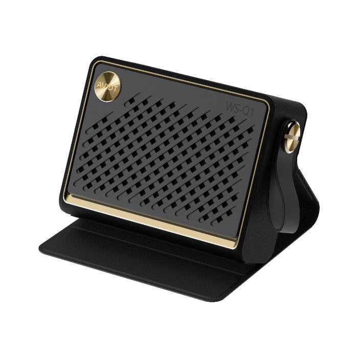 AVIOT WS-Q1PNK ピエール中野コラボモデル ブラック WS-Q1PNK-BK ワイヤレススピーカー Bluetooth AAC SBC マルチポイン