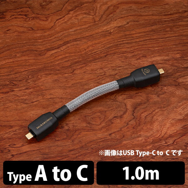 (/[:3Jx) Brise Audio MURAKUMO2-USB A to TYPE-C 1.0m (MUR2USB-AC100) uXI[fBI USBP[u I[fBIp