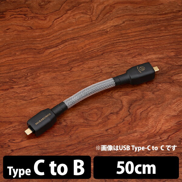 (񂹁^[:2Jx) Brise Audio MURAKUMO2-USB TYPE-C to B 50cm (MUR2USB-CB050) uXI[fBI USBP[u I[fBIp