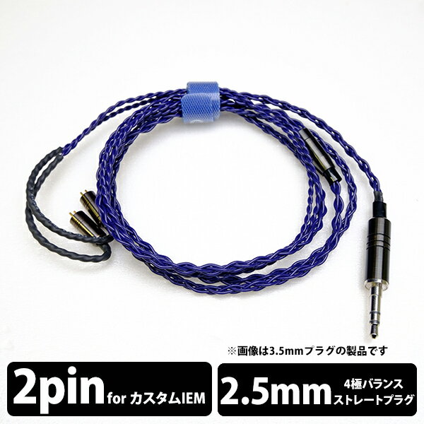 【ポイント10倍進呈(要エントリー)★11/20 20:00~11/27 01:59】【CIEM Flat 2Pin/2.5mm】 e☆イヤホン・ラボ Iolite CIEM Flat 2Pin-2.5mm(イヤーループ仕様) 120cm イヤホンケーブル リケーブル eイヤホンラボ 【送料無料】