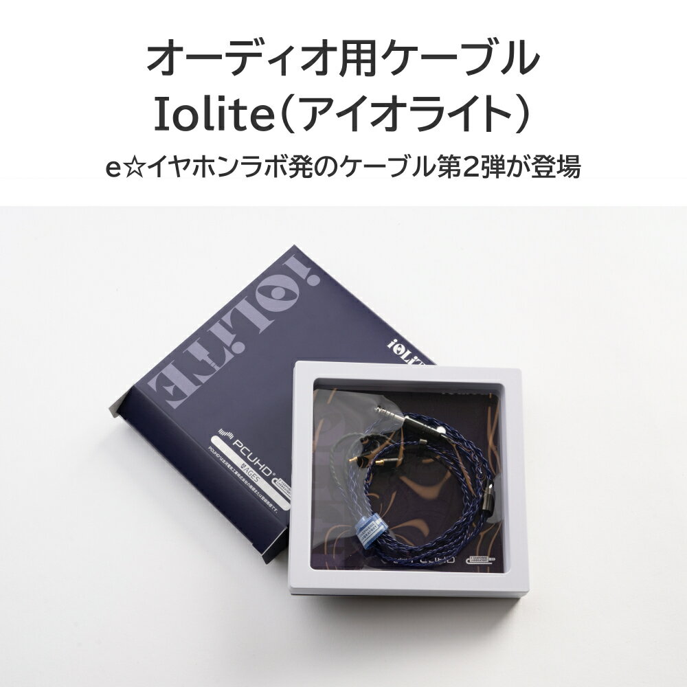 【CIEM Flat 2Pin/2.5mm】 e☆イヤホン・ラボ Iolite CIEM Flat 2Pin-2.5mm(イヤー...