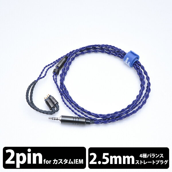 【CIEM2Pin/2.5mm】 e☆イヤホン・ラボ Iolite CIEM2Pin-2.5mm(イヤーループ仕様) 120cm イヤホンケーブル リケーブル eイヤホンラボ 【送料無料】