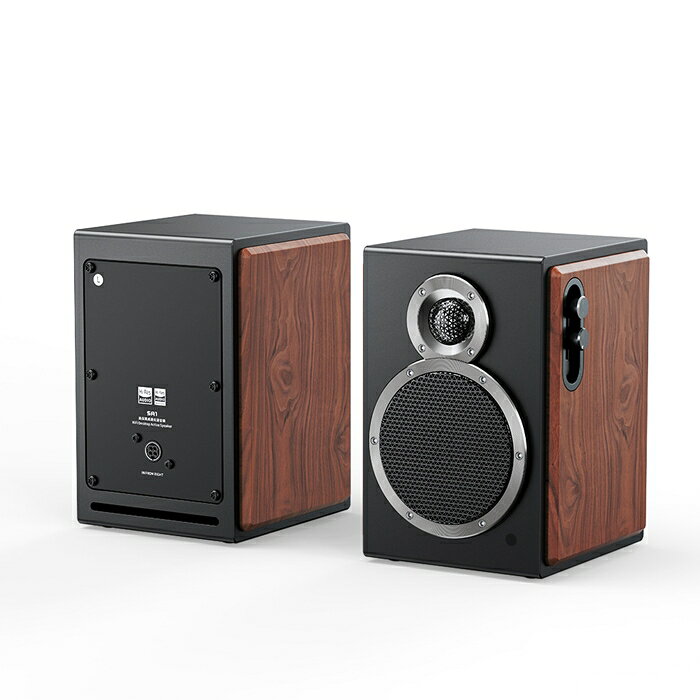 Fiio SA1 2