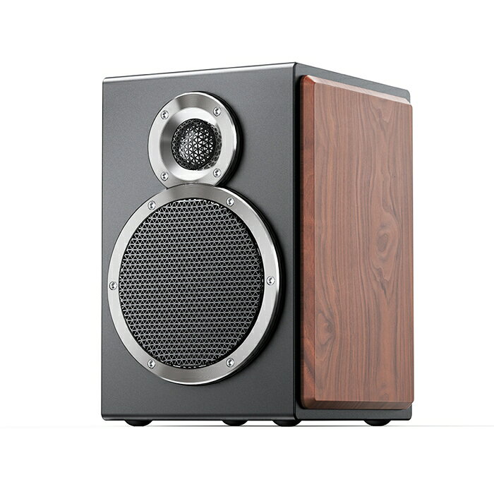Fiio SA1 3