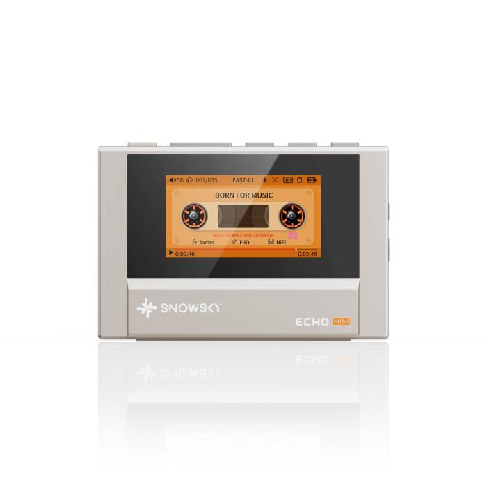 【ポイント10倍進呈(要エントリー)★11/20 20:00~11/27 01:59】FIIO Snowsky ECHO MINI Titanium Gold ...