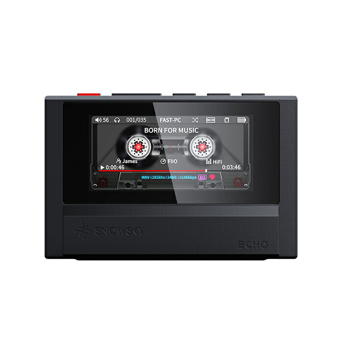【マラソン限定★P10倍キャンペーン！(要エントリー)】FIIO Snowsky ECHO Black【FI...