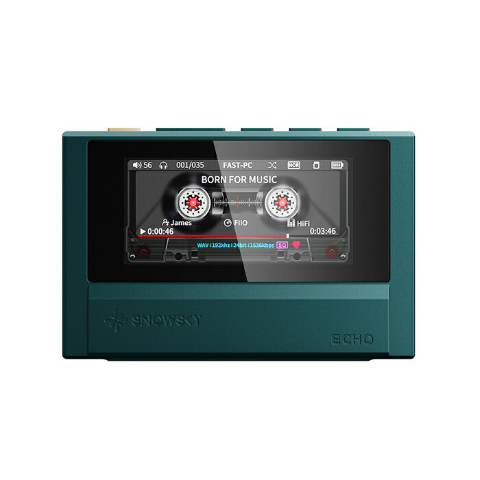 【マラソン限定★P10倍キャンペーン！(要エントリー)】FIIO Snowsky ECHO Green 【F...