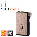 iFi-Audio アイファイオーディオ GO blu DA