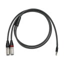 Astell&Kern アステルアンドケルン PEE41 5pin mini XLR to 3pin XLR 【PEE41-XLR-CABLE】 【送料無料】【1年保証】